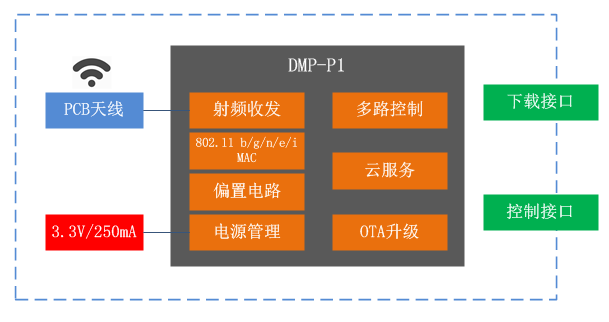 DMP-P13