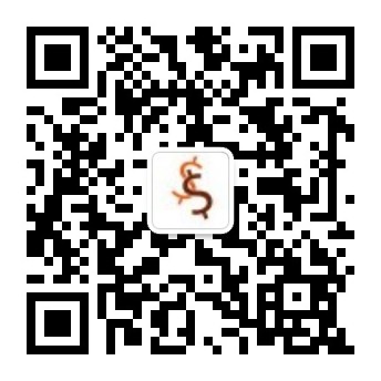 wps101010